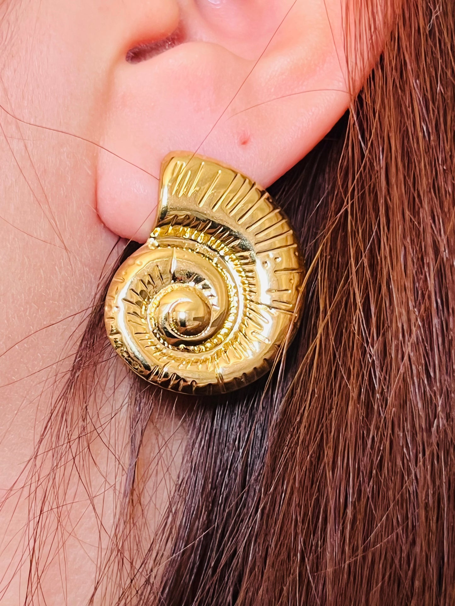 Aros caracol