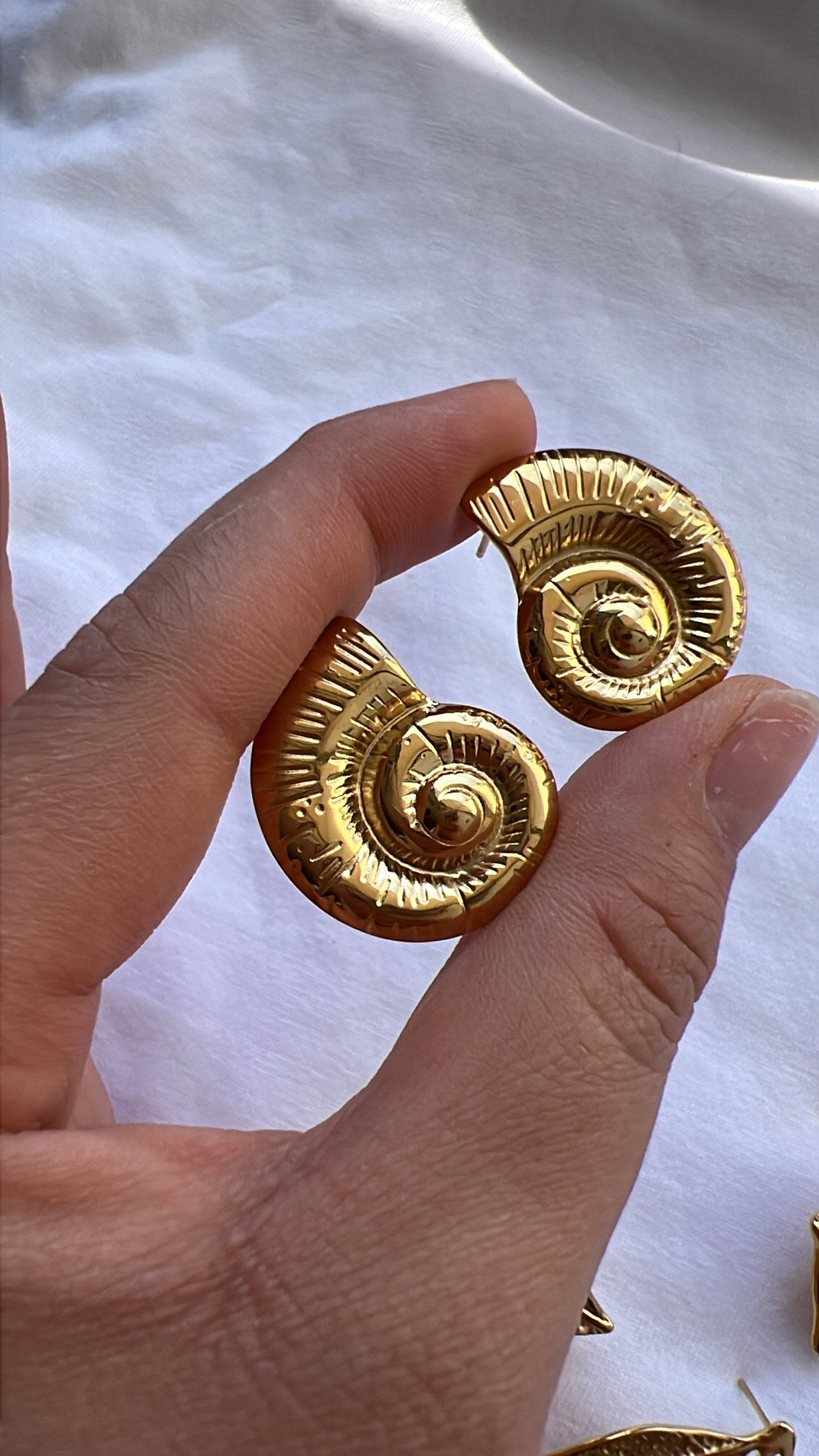 Aros caracol