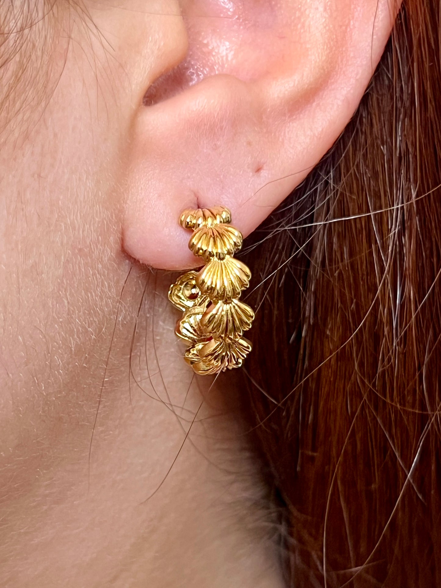 Aros Ariel