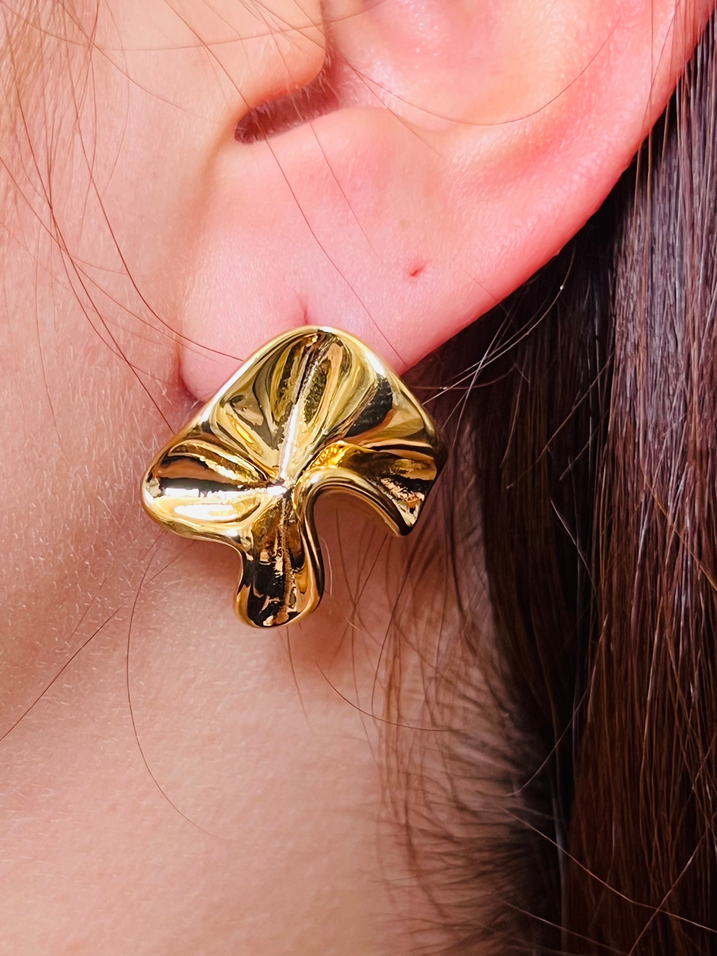 Aros Monica