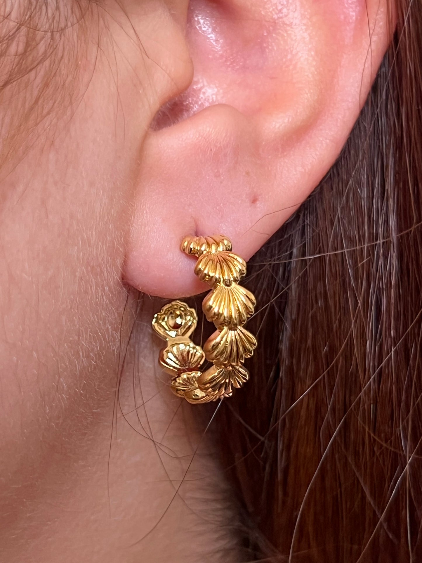 Aros Ariel
