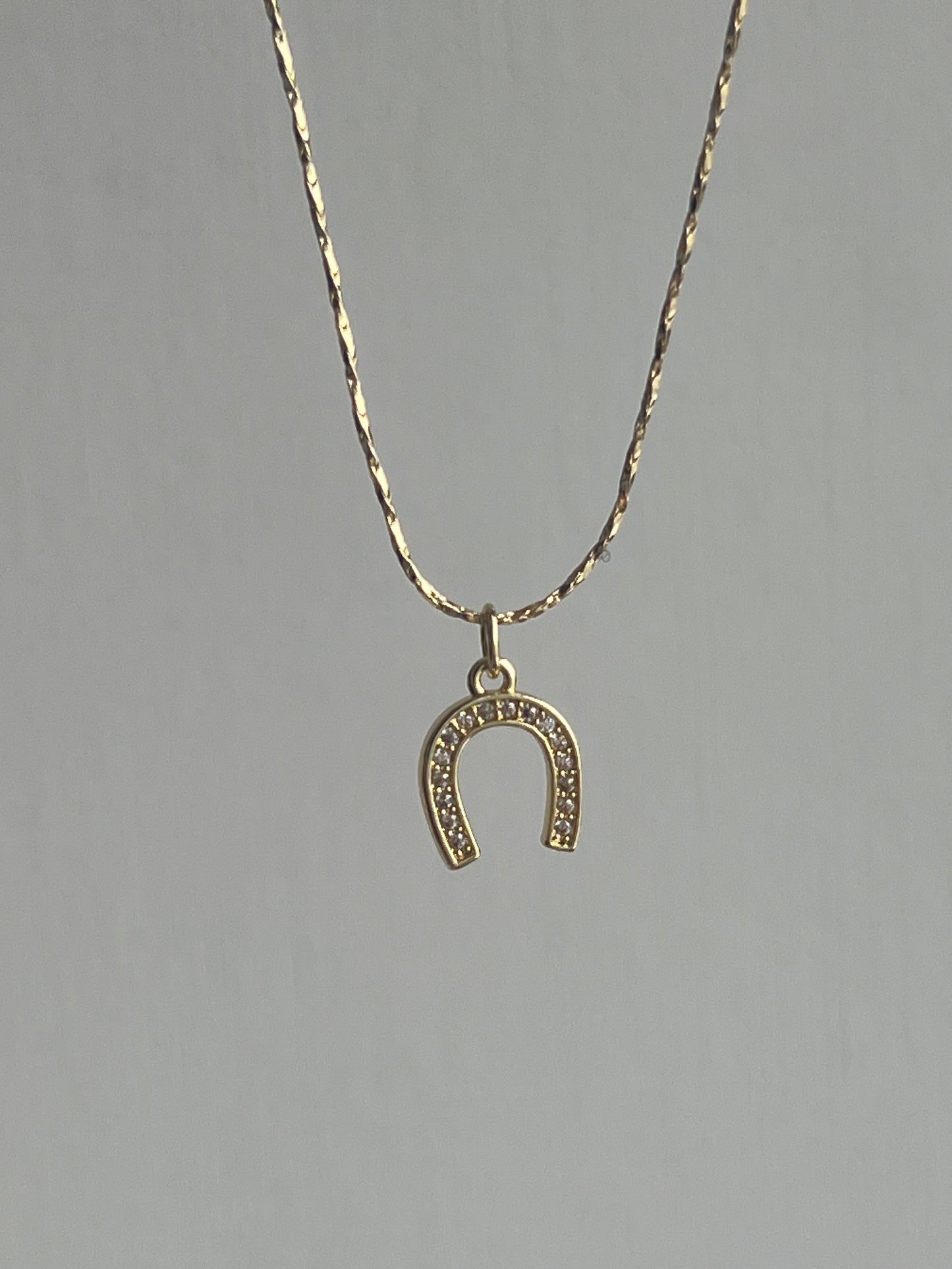Collar ajustable herradura