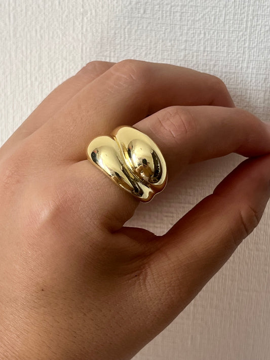 Anillo Ajustable Roa