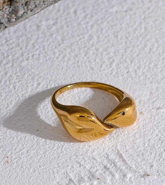 Anillo ajustable Unión