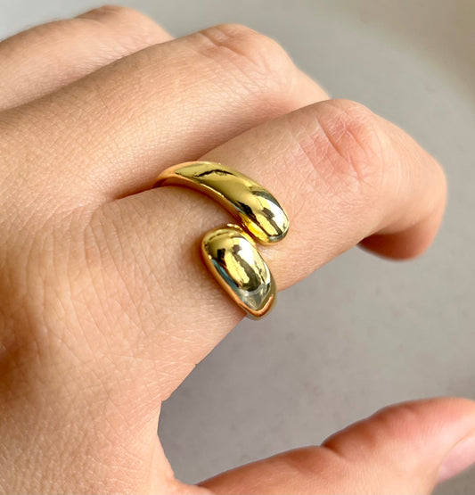 Anillo Ajustable Leo